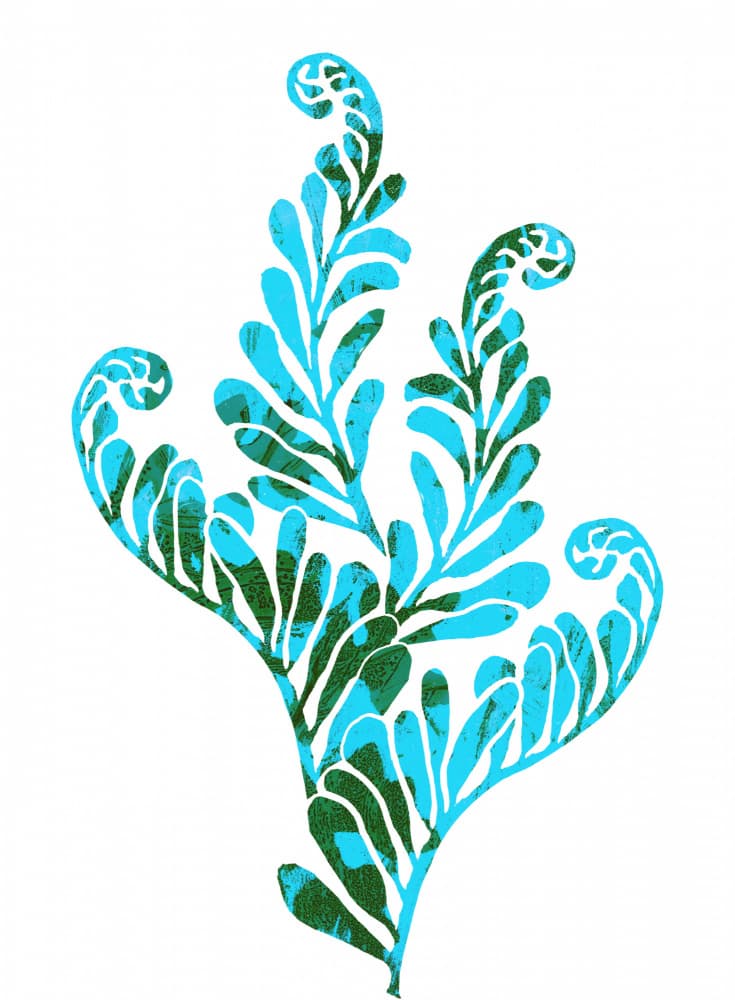 Vibrant Teal Leaves by Melissa McKeagney — canvas wall art