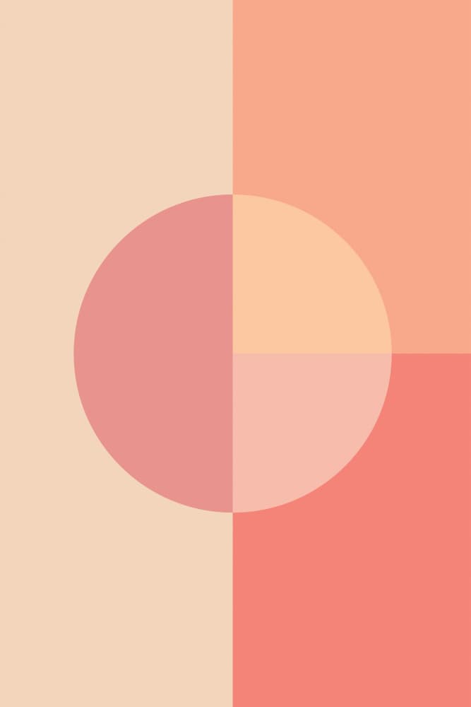 Soft Blush Circle by Pictufy Studio — canvas wall art