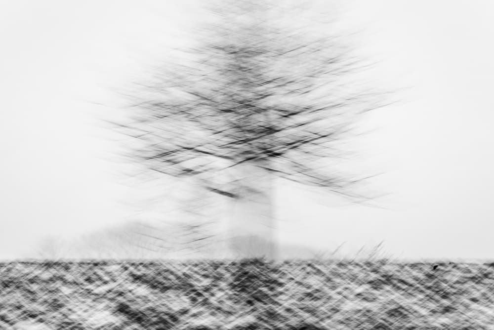 Blurred Winter Tree by Imaginative — canvas wall art