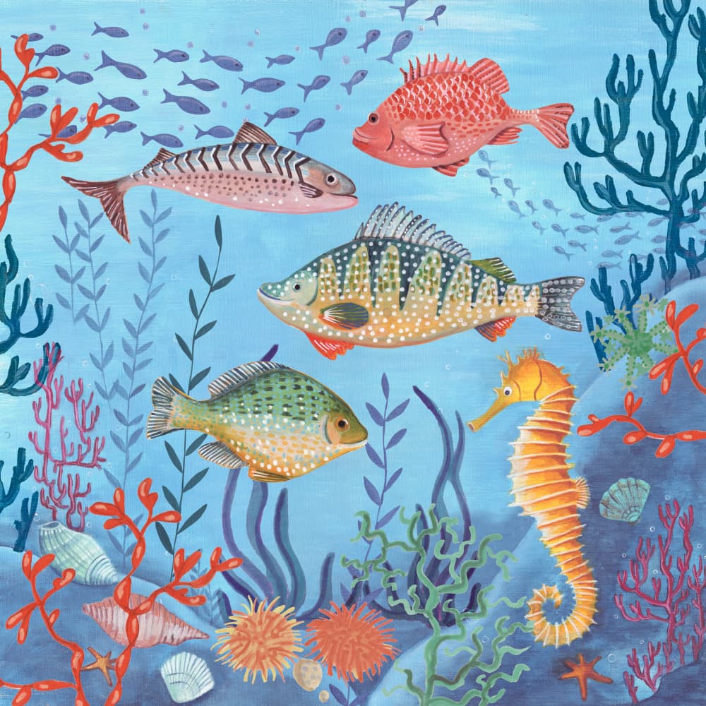 Ocean life by Caroline Bonne Müller — canvas wall art