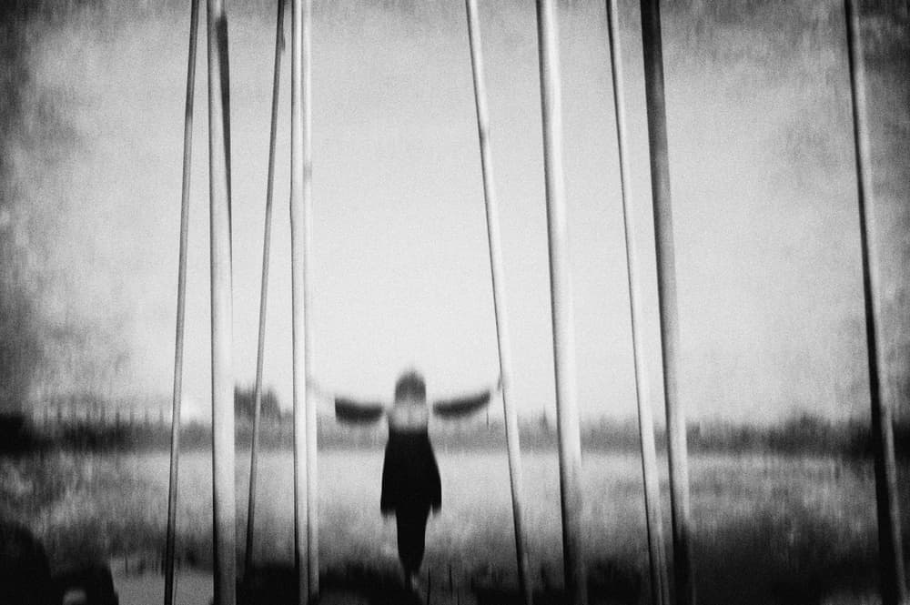 Longing For Freedom by Milena Seita — canvas wall art