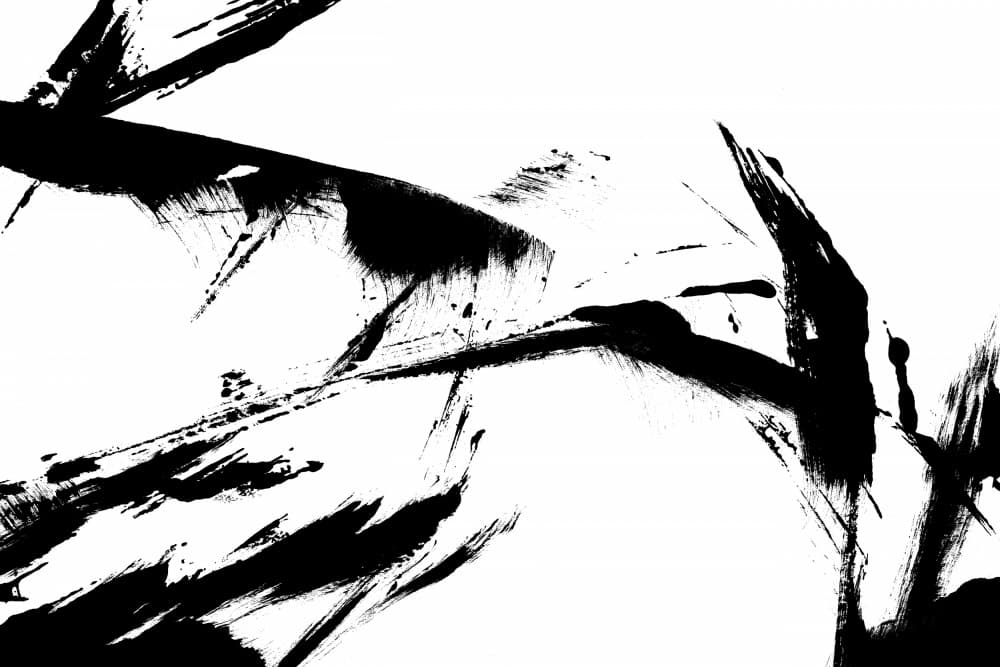 Feathery Streak by uplusmestudio — canvas wall art