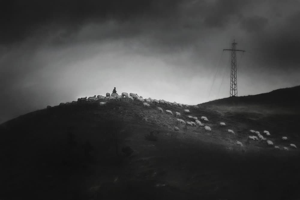 Hillside Shepherd and Flock by Todor Tanev — canvas wall art