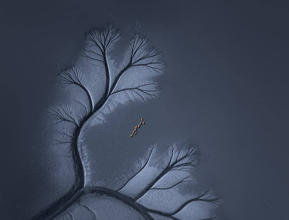 Aerial Sand Patterns by NingYun Ye — canvas wall art