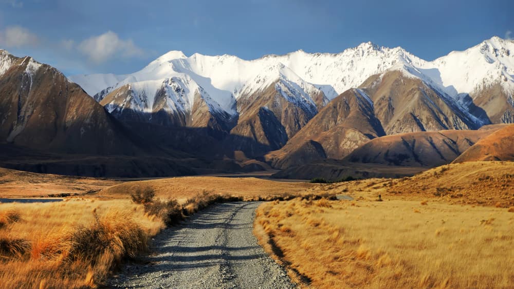 Golden Fields Mountain Road by Dragan Keca — canvas wall art
