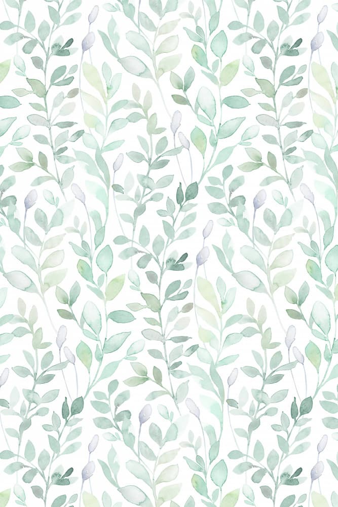 Soft Green Foliage by Lovorka Pavic — canvas wall art