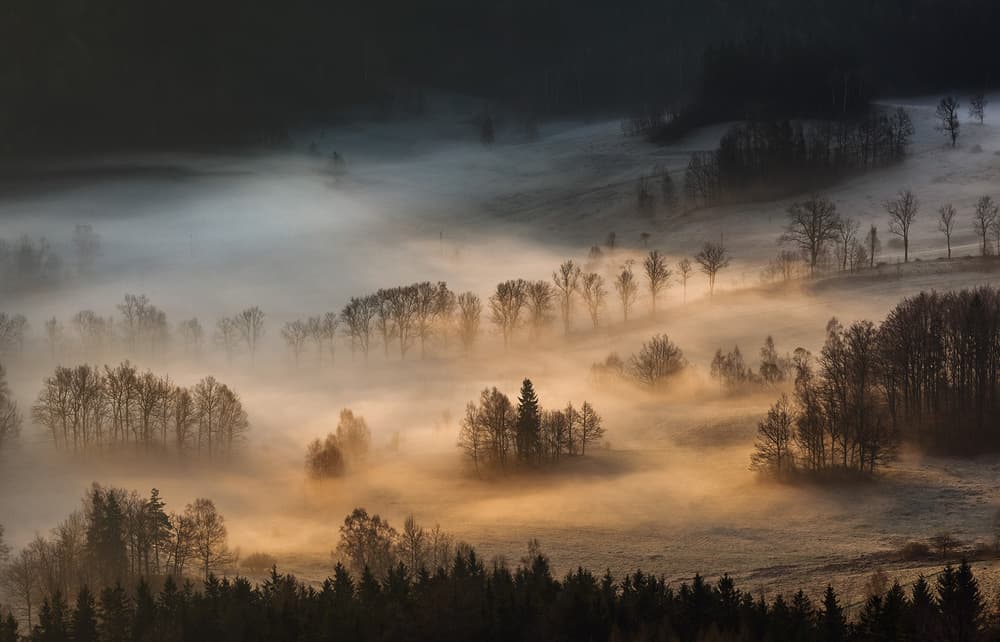 Golden Dawn Valley by Tomasz Rojek — canvas wall art