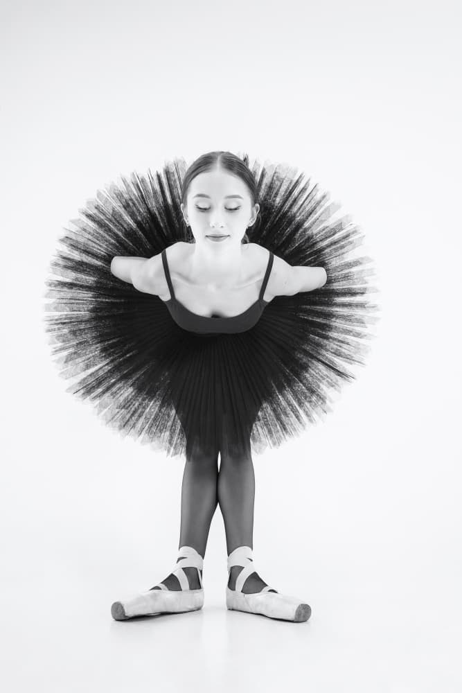 Graceful Ballerina Bow by Alexandr — canvas wall art