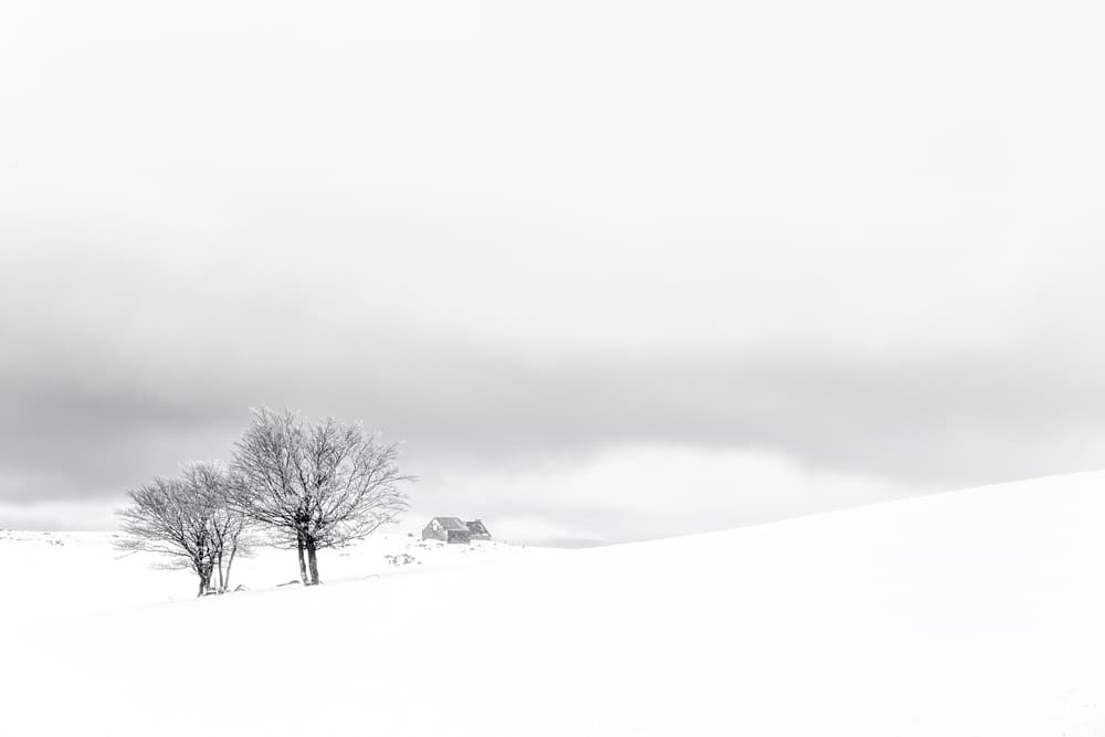 Snowy Trees and Cabin by GARCIA Dominik — canvas wall art