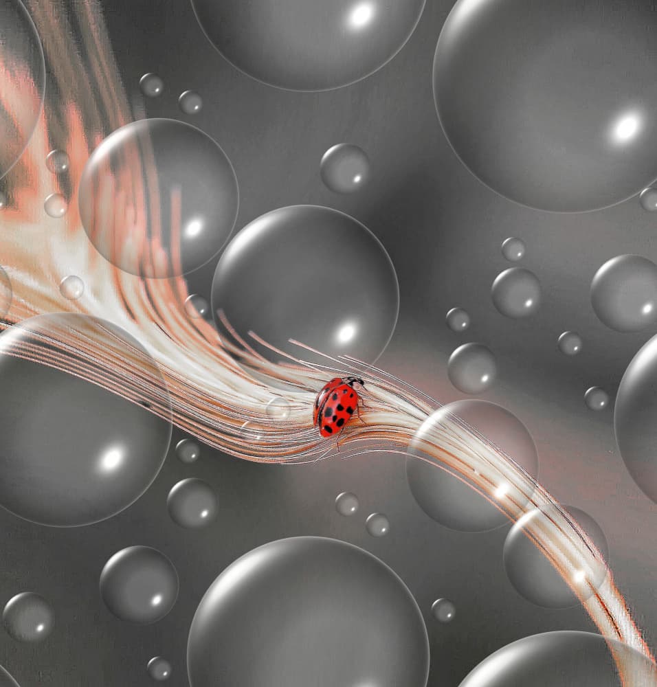 Luminous Path Ladybug by Thierry Dufour — canvas wall art
