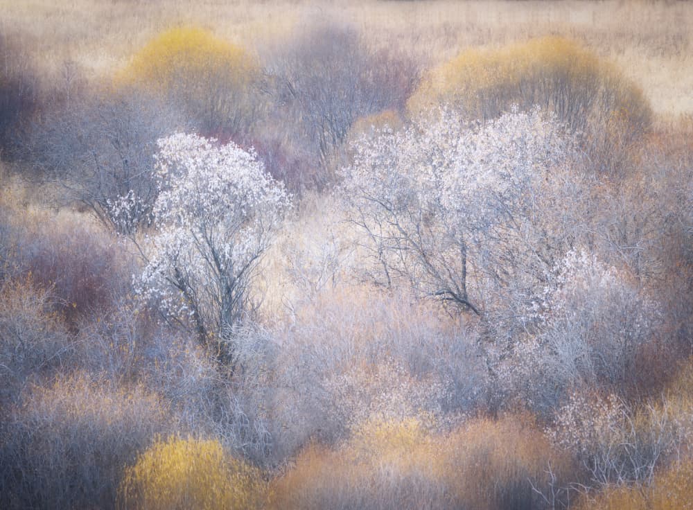 Ethereal Winter Landscape by Dawn X W — canvas wall art