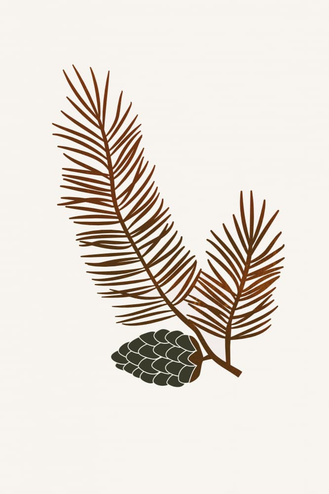 Pine by Kubistika — canvas wall art