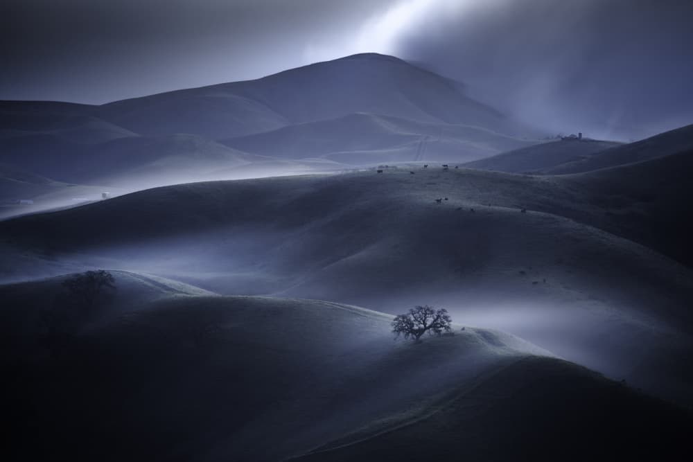 Misty Blue Hills by Jack Ou — canvas wall art