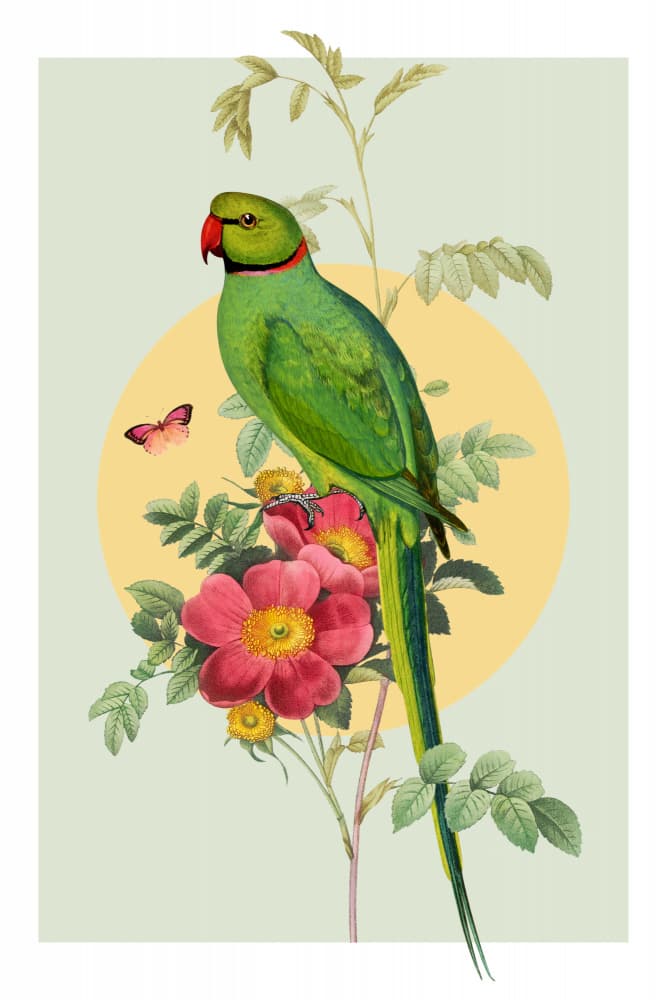 Green Parrot Rose by Marja van den Hurk — canvas wall art