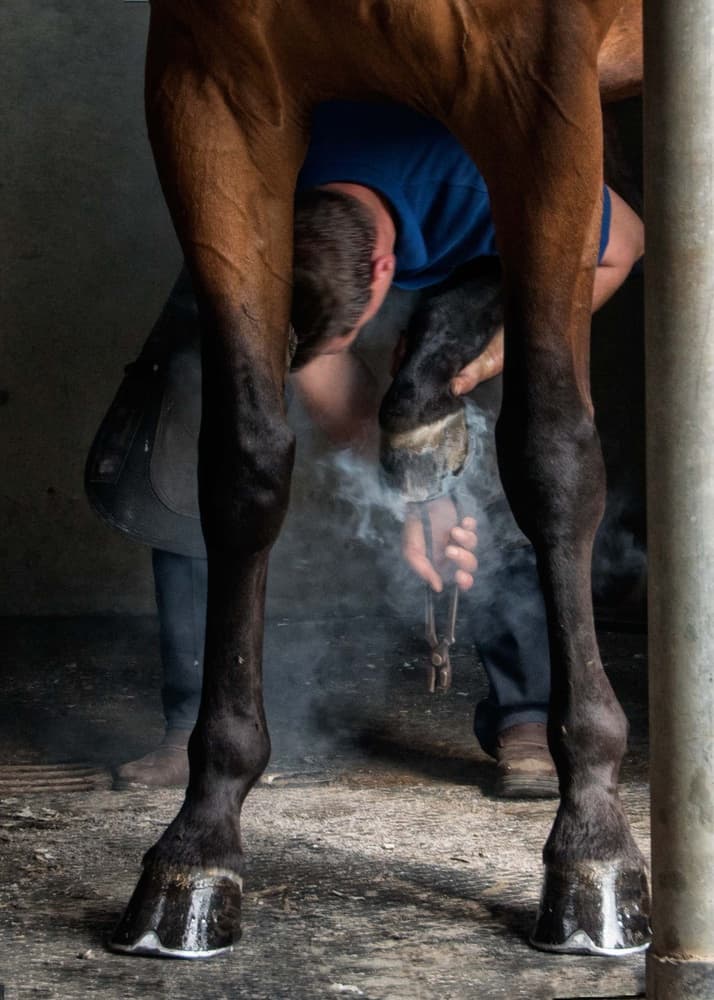 Farrier Hot Shoeing by Gert van den Bosch — canvas wall art