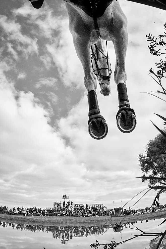 Horse Hooves Sky by Sharon Lee Chapman — canvas wall art