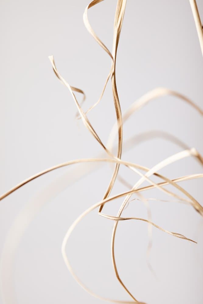Delicate Golden Curves by Pictufy Studio III — canvas wall art