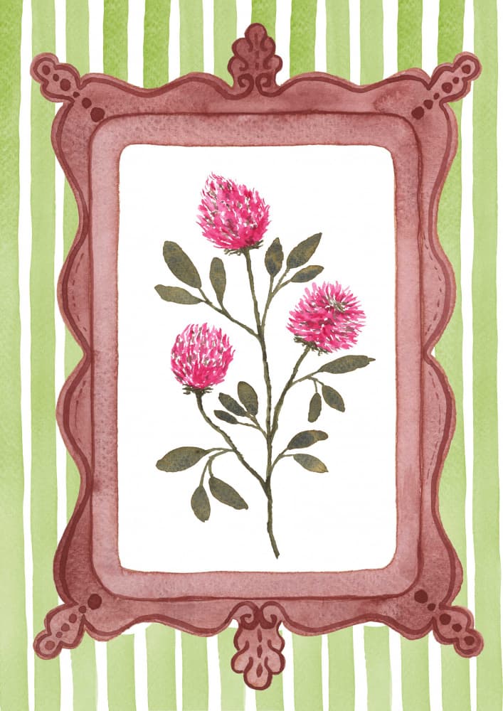 Clover Bloom Frame by Suchi Deb — canvas wall art