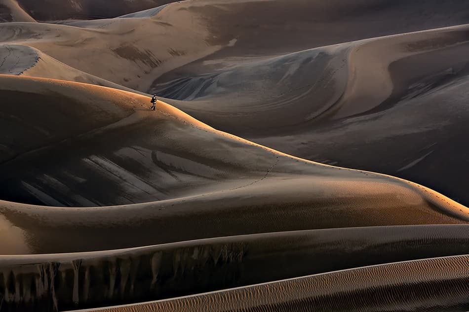 Hiker on Golden Dunes by Mohammadreza Momeni — canvas wall art