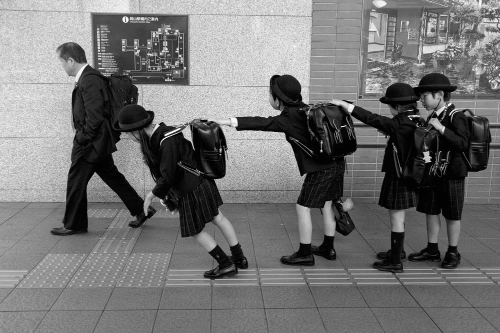 Japanese School Line by Lorenzo Grifantini — canvas wall art