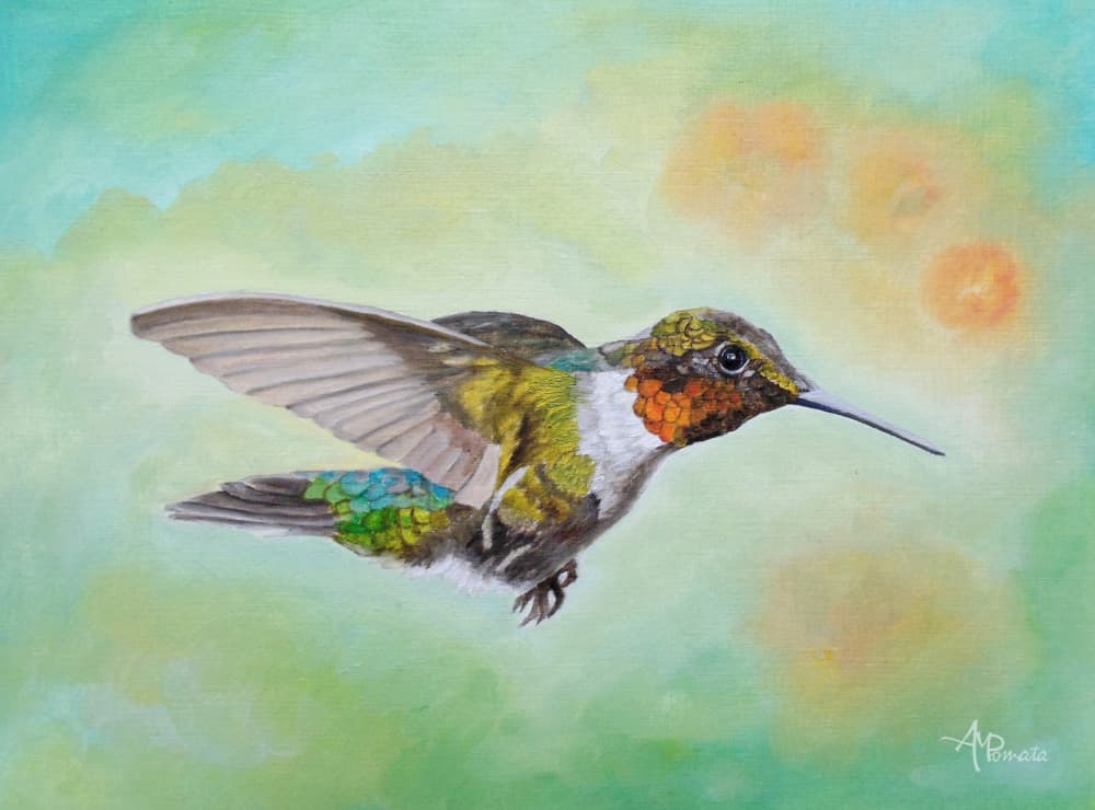 Vibrant Hummingbird Flight by Angeles M. Pomata — canvas wall art