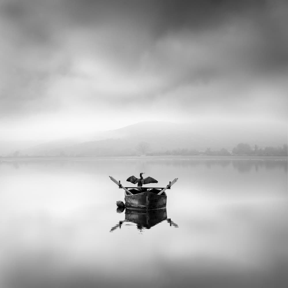 Misty Morning Cormorant by George Digalakis — canvas wall art