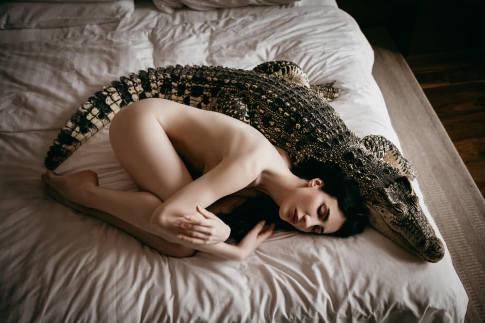 Intimate Crocodile Dream by Zanna — canvas wall art