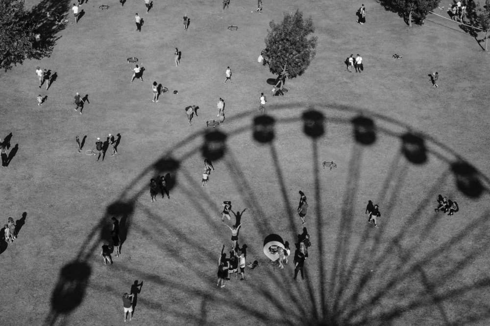 Overhead Park Shadows by Andra Stoica — canvas wall art
