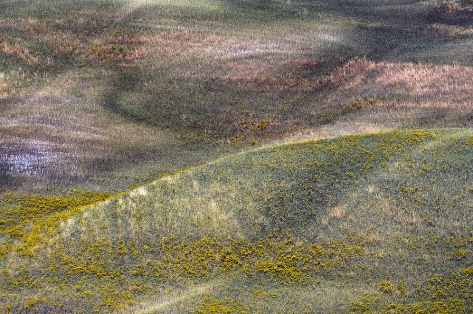 Earth Tone Field Patterns by Jure Kravanja — canvas wall art