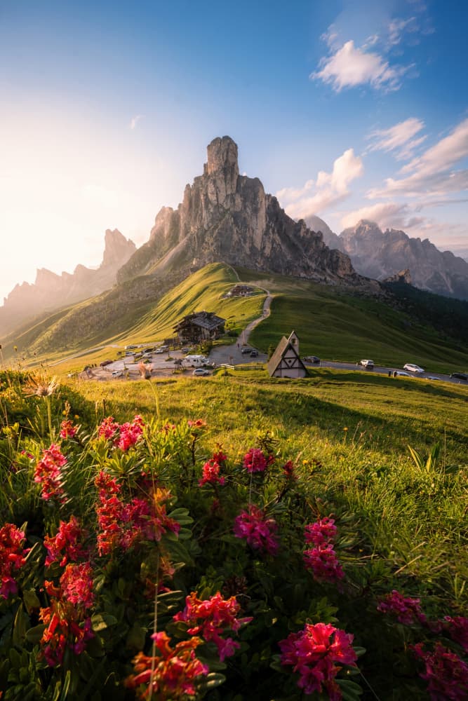 Sunrise Dolomites Wildflowers by Ti Wang — canvas wall art