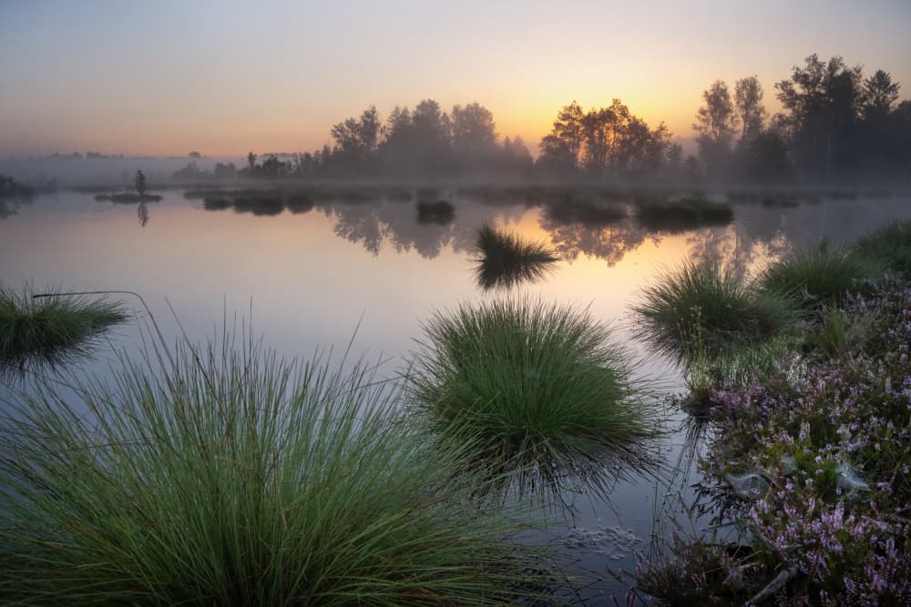 Misty Lake Sunrise by Ulrike Eisenmann — canvas wall art