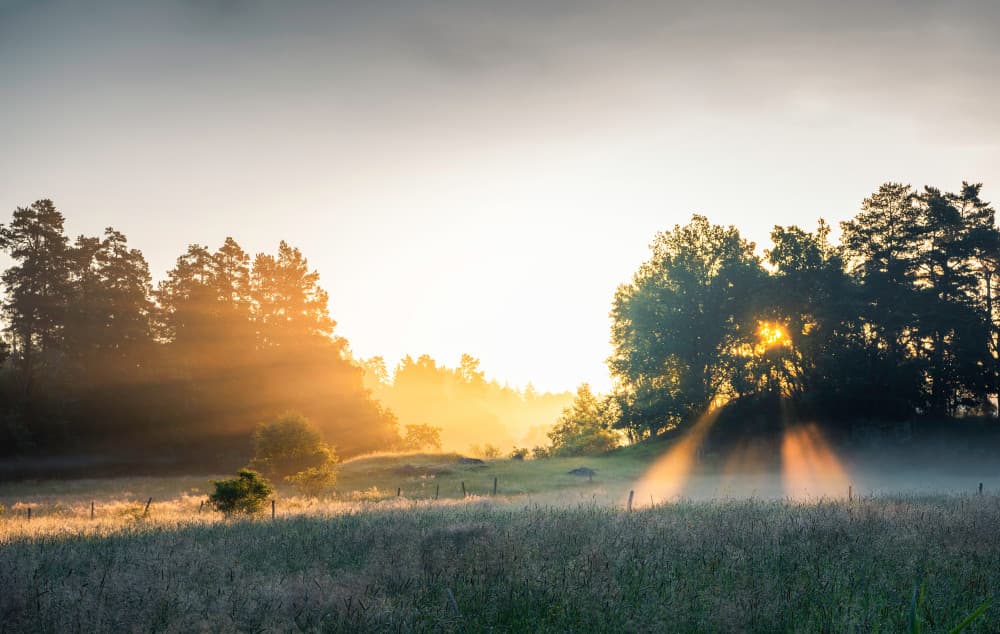 Misty Morning Landscape by Christian Lindsten — canvas wall art