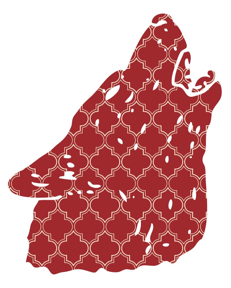 Red Patterned Wolf by Emiliano Deificus — canvas wall art