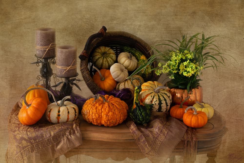 Autumn Pumpkin Still Life by Darlene Hewson — canvas wall art