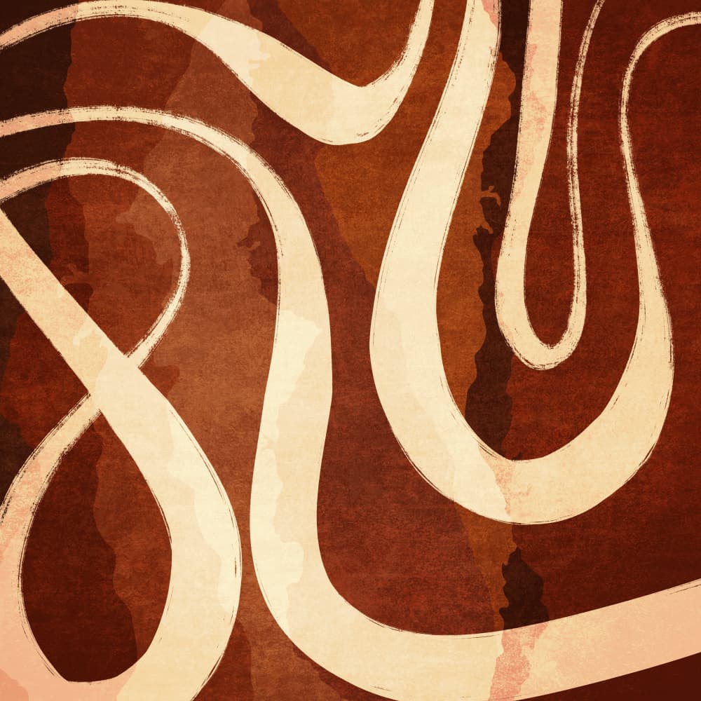 Curved Pathways by Emel Tunaboylu — canvas wall art
