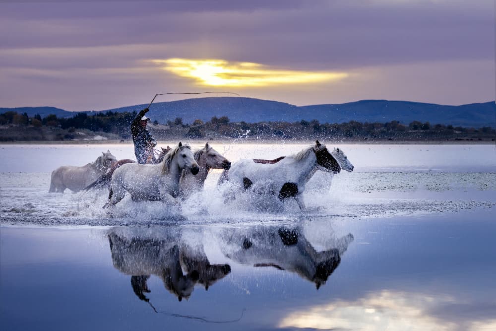 Wild Horses Running Water by Sally Widjaja — canvas wall art
