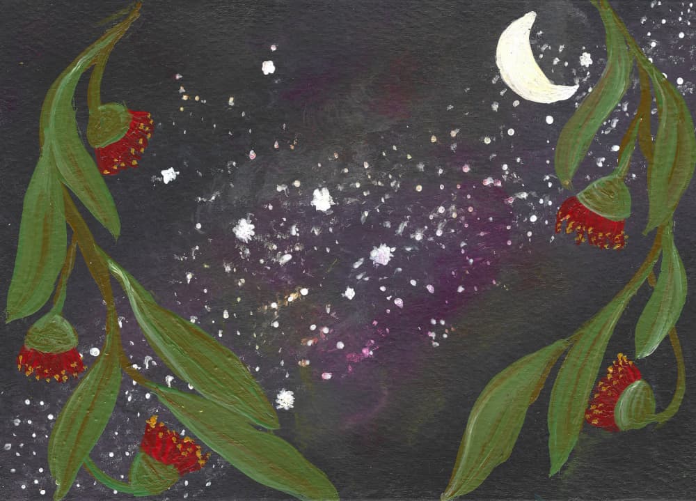 Eucalyptus Under Stars by Janine Brewster — canvas wall art