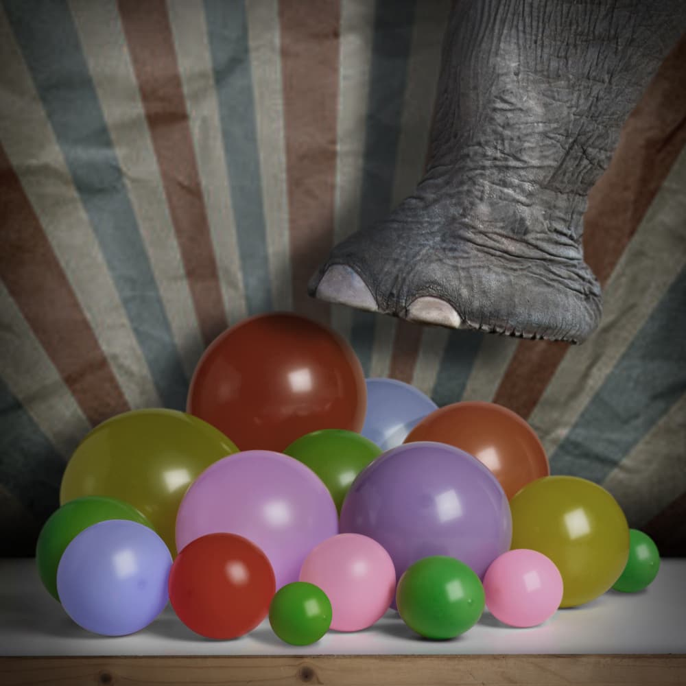 Gentle Elephant Circus Play by Mister Solo — canvas wall art