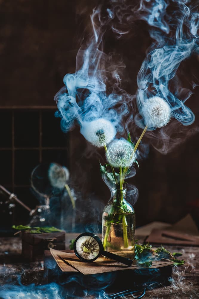 Ethereal Dandelion Magnified by Dina Belenko — canvas wall art