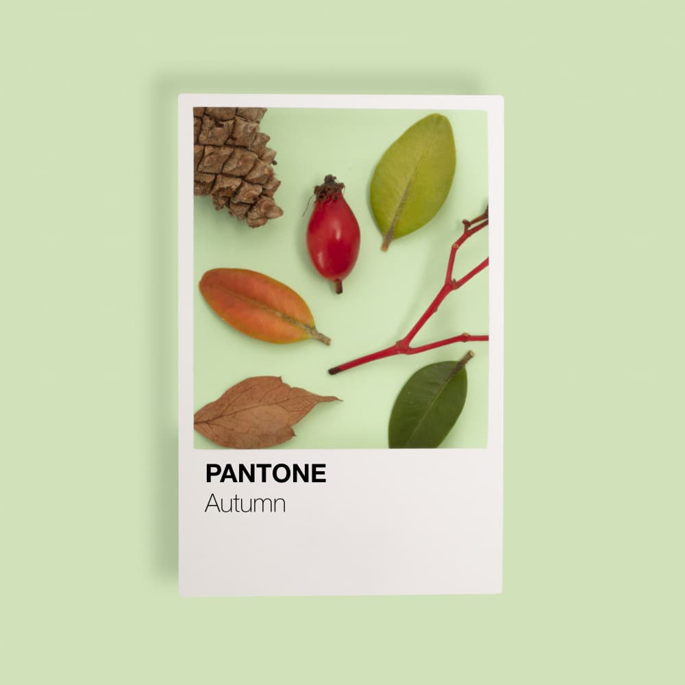Autumn Natural Elements by Julia Ramiro — canvas wall art