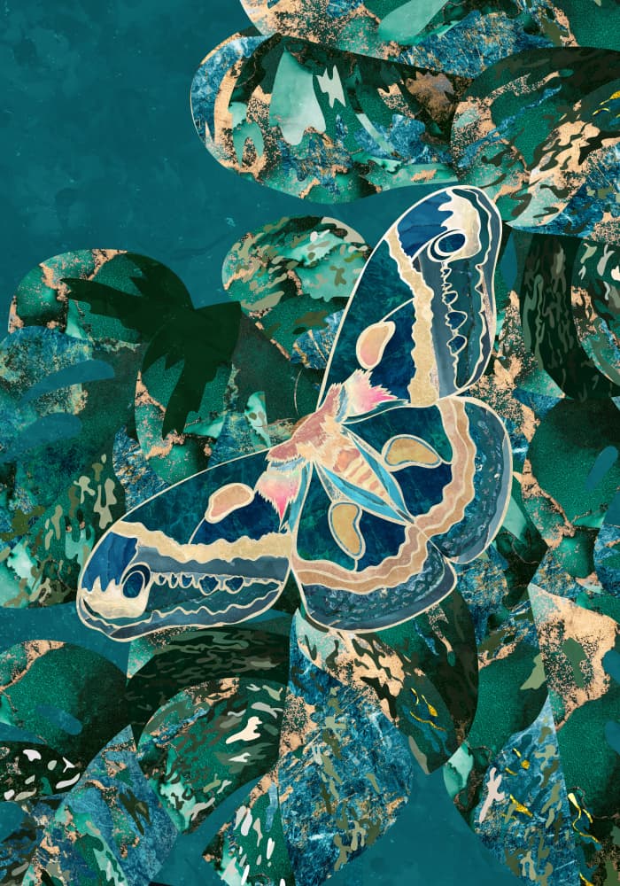 Vibrant Moth Jungle by Sarah Manovski — canvas wall art
