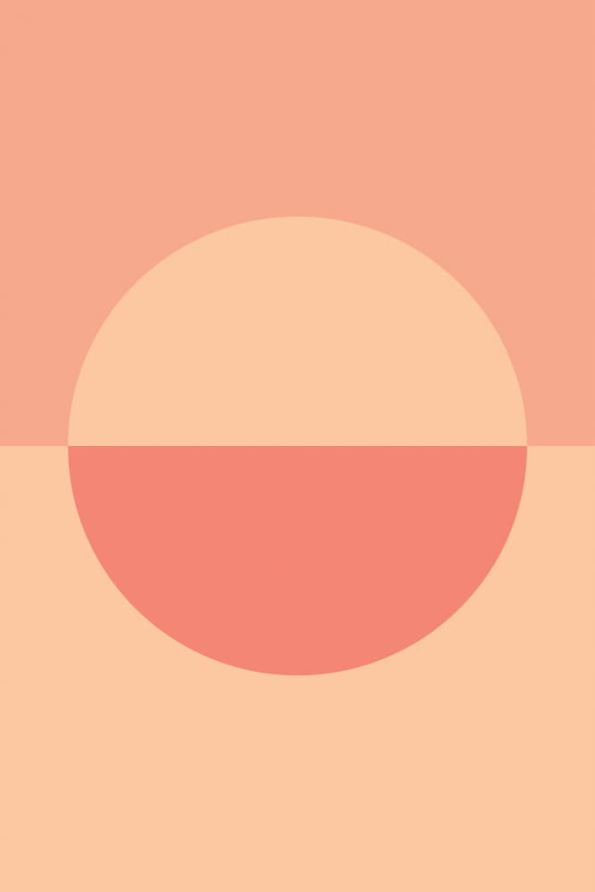 Soft Peach Divided Circle by Pictufy Studio — canvas wall art
