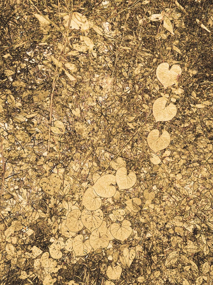 Dense Golden Vines by Santhosh ch — canvas wall art