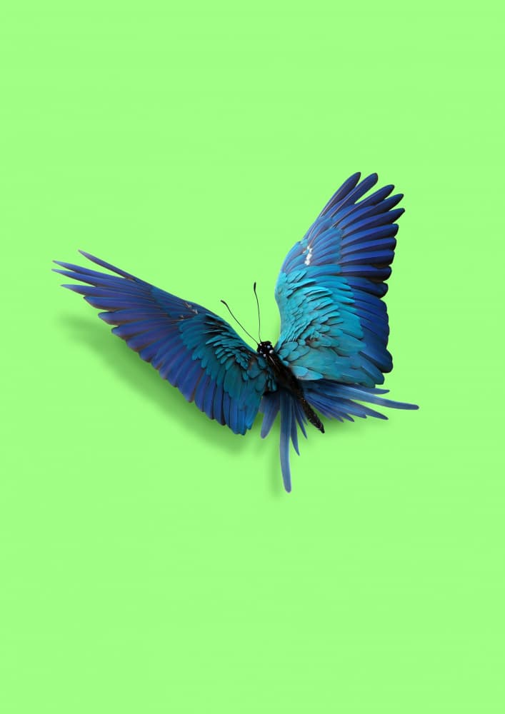 Vibrant Blue Butterfly by Artem Pozdniakov — canvas wall art