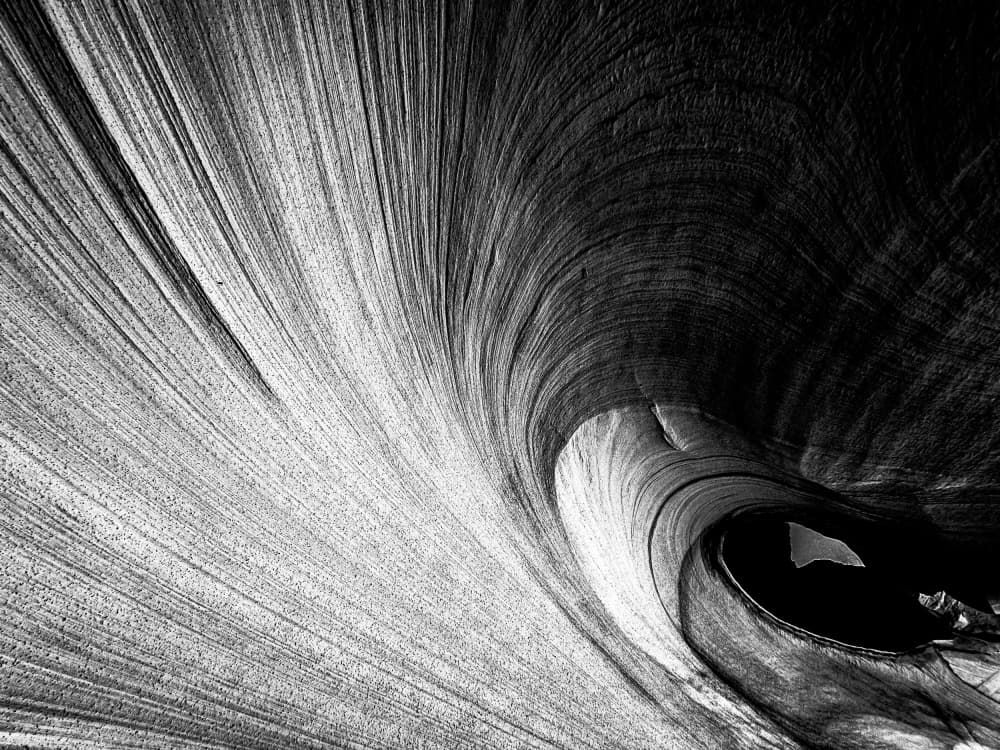 Organic Curve Abstract by Rui Wang — canvas wall art