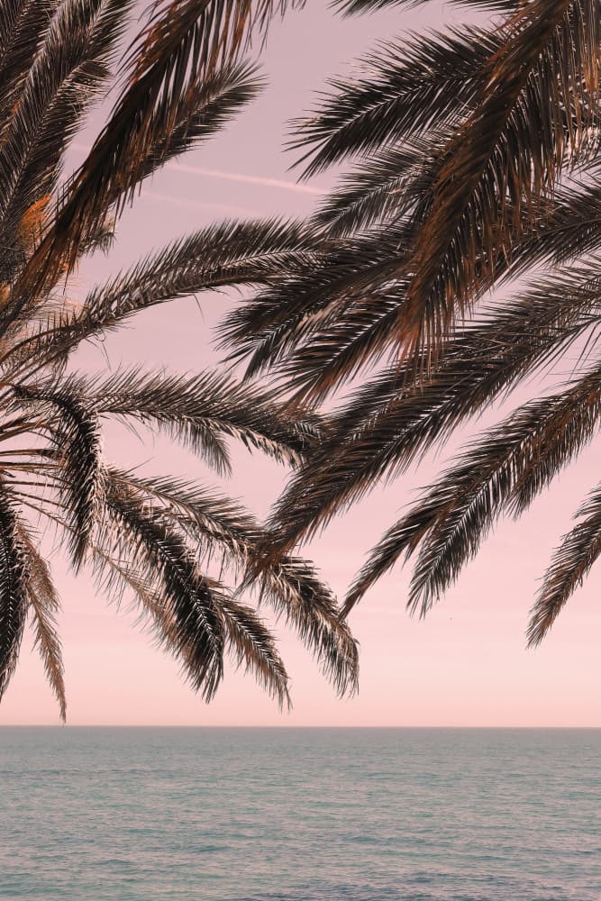 Tropical Pink Sky Ocean