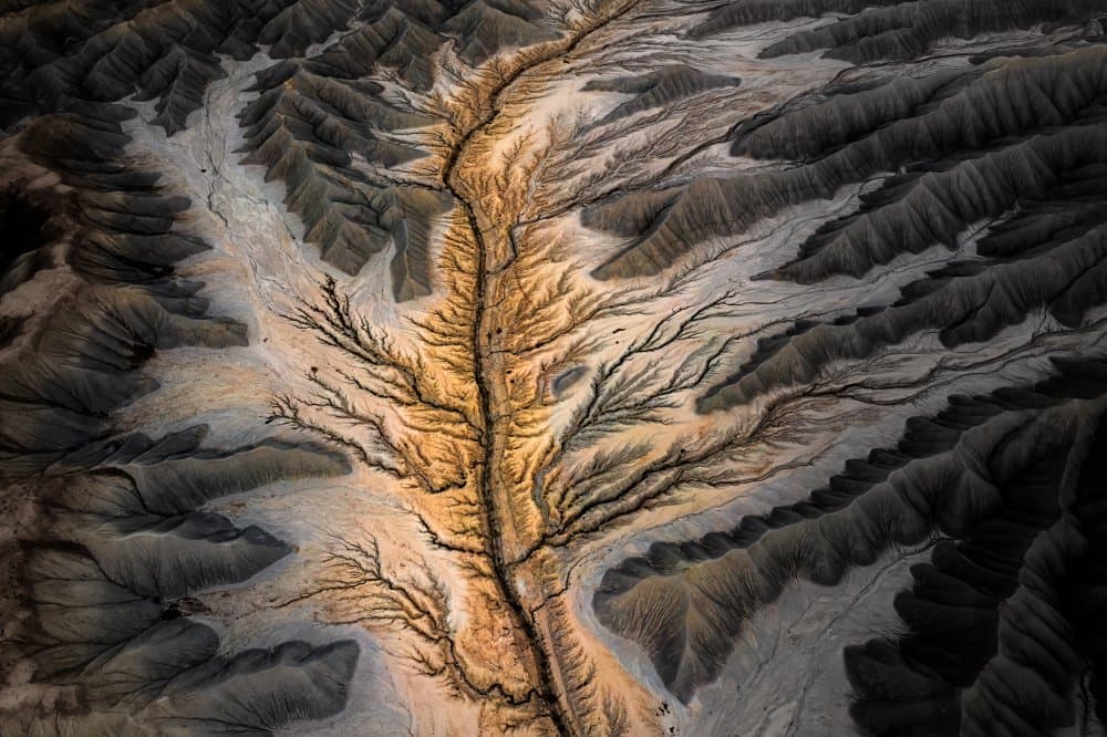 Earth's Golden Veins by James Bian — canvas wall art