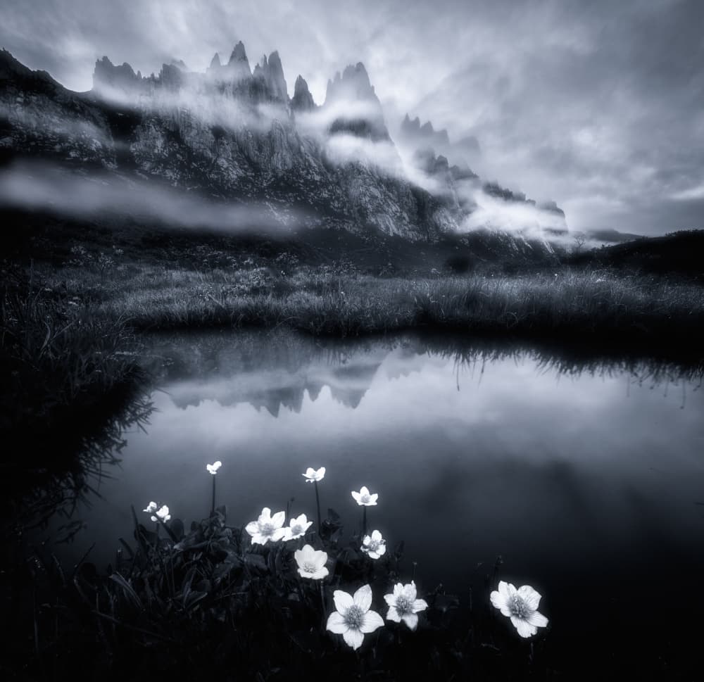 Misty Peaks and Flowers by Chao Feng 天馬 — canvas wall art