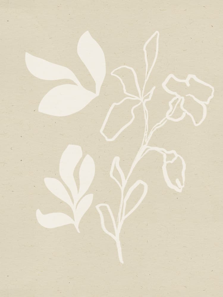 White Flora Silhouettes by Treechild — canvas wall art