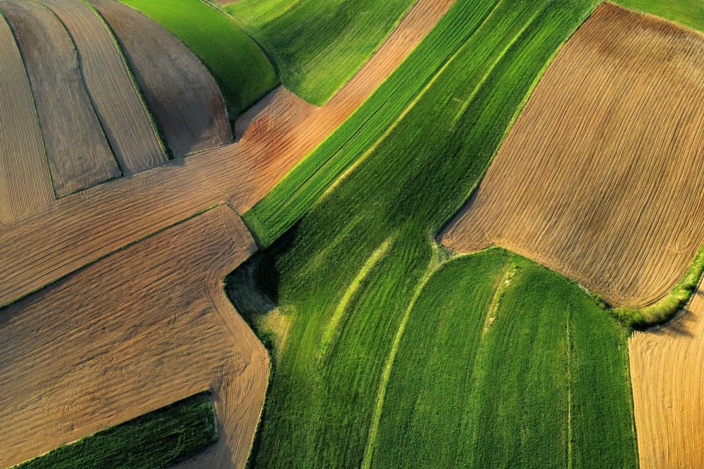 Vibrant Farm Field Patterns by Primož Kožuh — canvas wall art